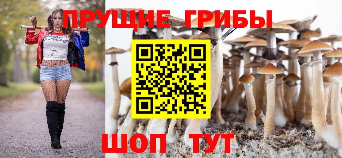 Фурманов  Псилоцибиновые грибы мухоморы  даркнет сайт  Вход с VPN 